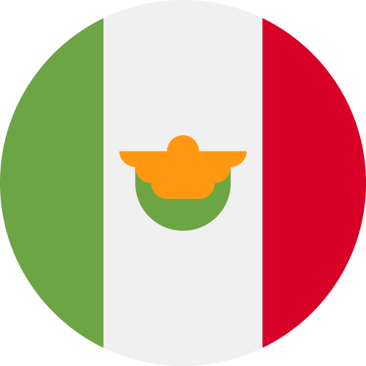 Playa del Carmen Flag